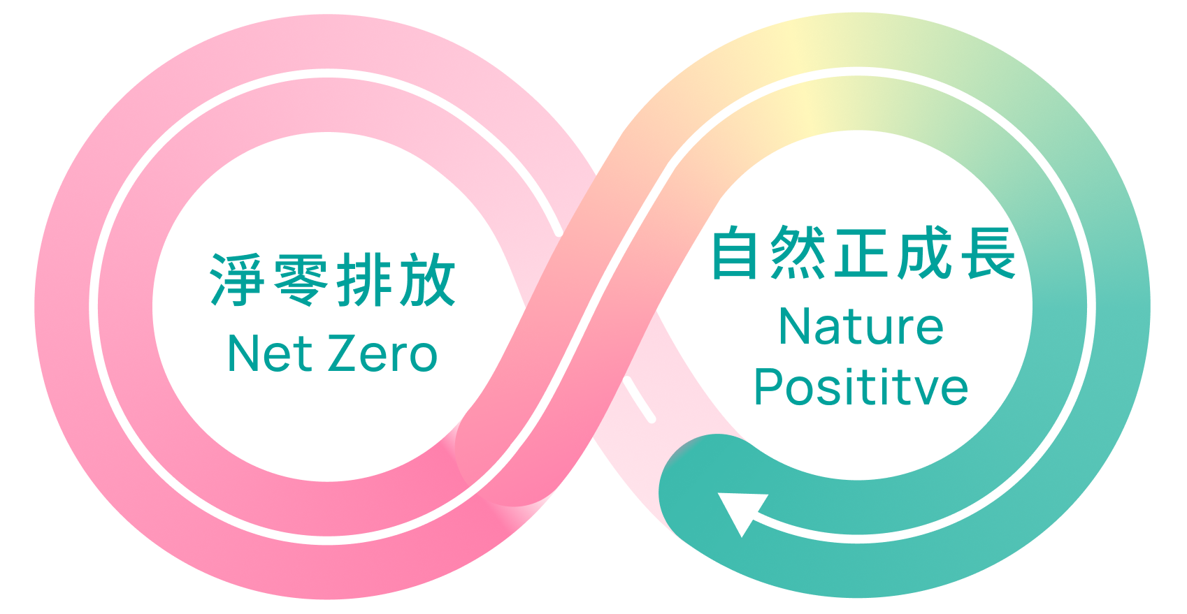 淨零